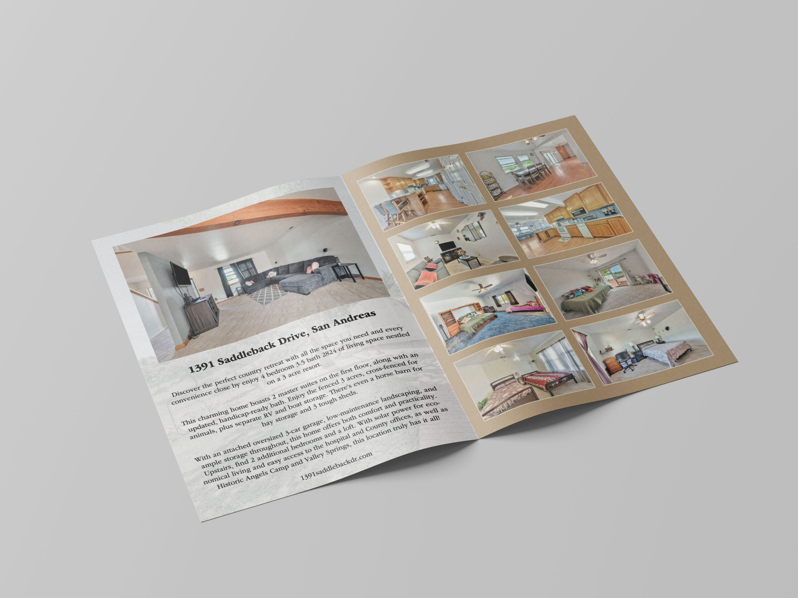 Free_Bi-Fold_A4_Brochure_4 copy